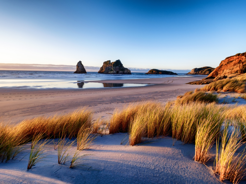 NZ landscape, landscape, beach, South Island,