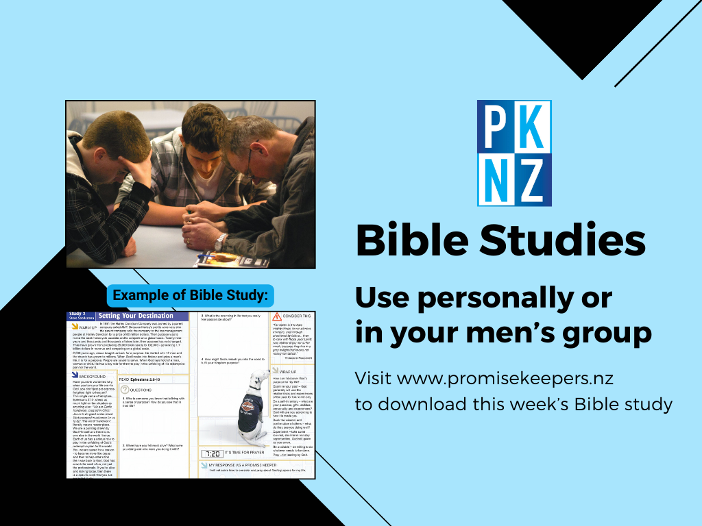 Men's Bible Studies use personally or in your men's group