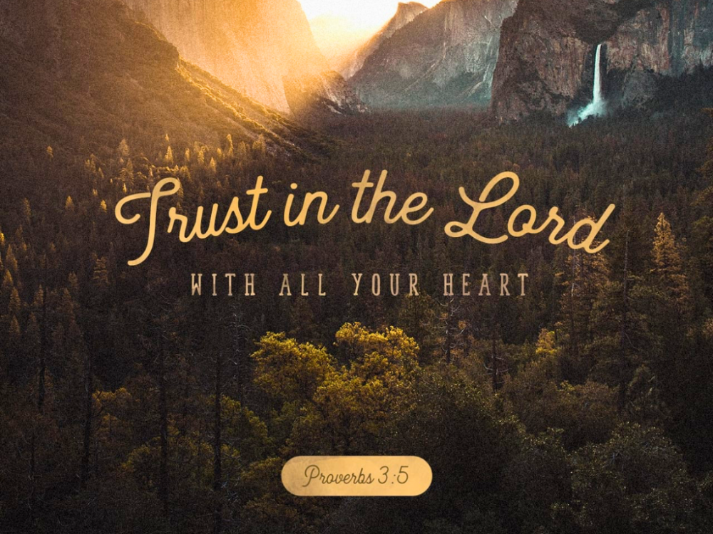 Proverbs 3:5 says, “Trust in the Lord with all your heart, and lean not on your own understanding.”