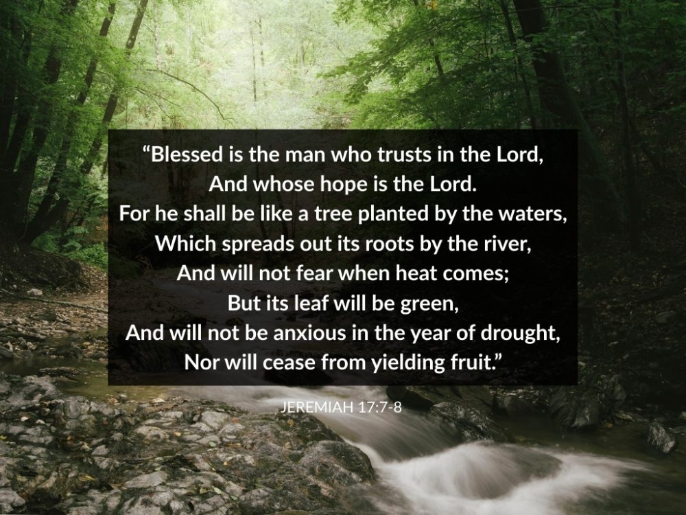 Blessed is the man who trusts in the Lord, And whose hope is the Lord.