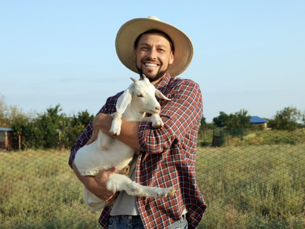 Goats have a character flaw that reminds me of myself sometimes.