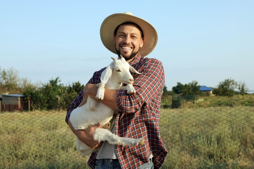 Goats have a character flaw that reminds me of myself sometimes.