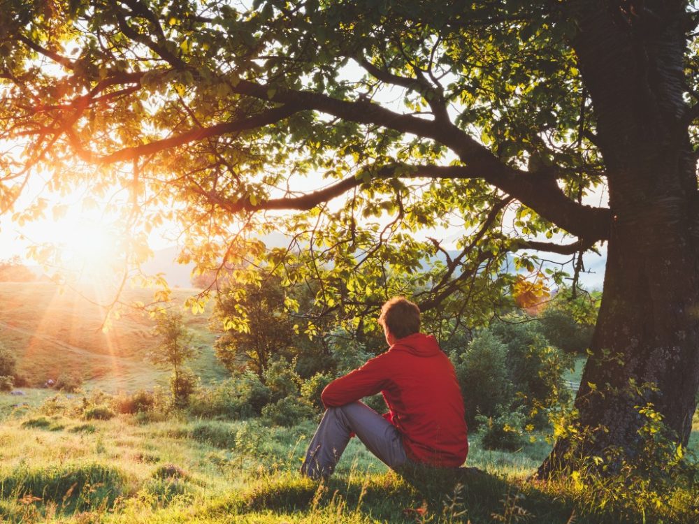 But his delight is in the law of the Lord, and in His law he meditates day and night. Psalm 1:2