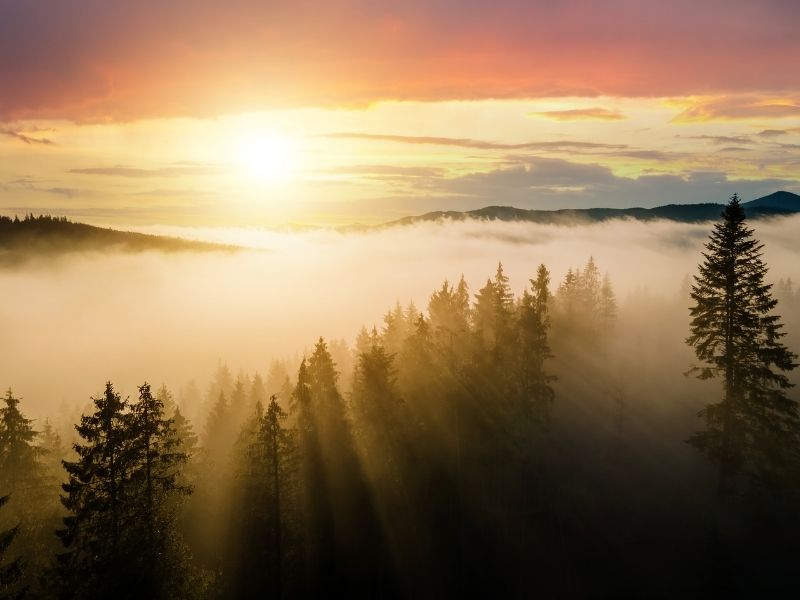 “His divine power has given to us all things that pertain to life and godliness” (2 Peter 1:3).